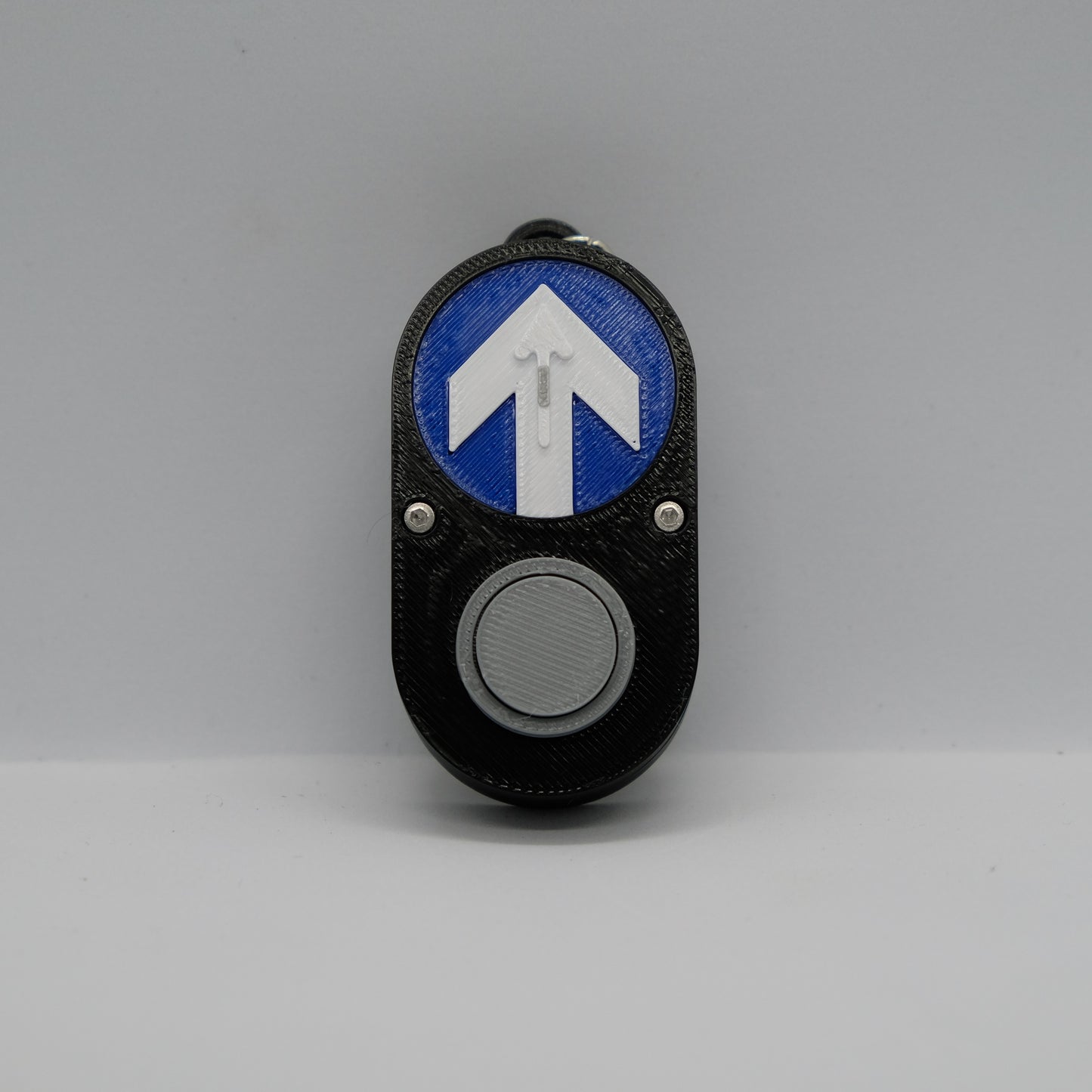 Pedestrain Push Button Key Chain Real Sound Edition | 3D Printed